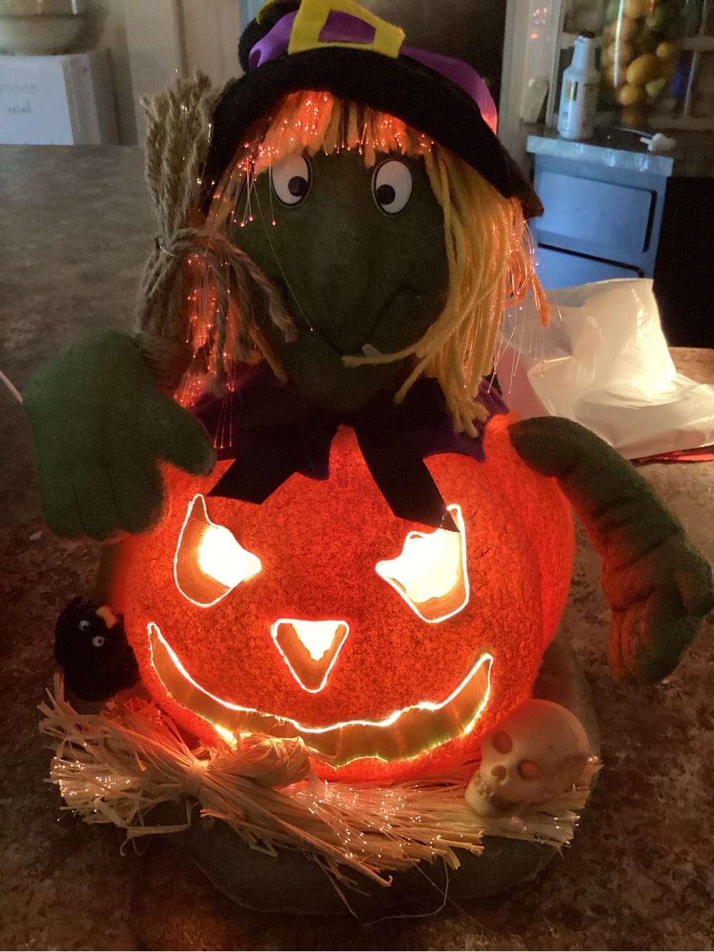 vintage Trendmasters Colors of Fall Fiber Optic Halloween Witch Pumpkin Decor